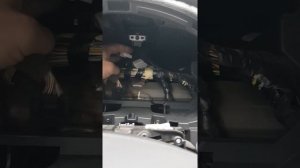 dacia sandero не работает освещение салона