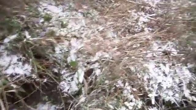 Новая угроза прорыва плотины на Касимовском озере смотреть онлайн