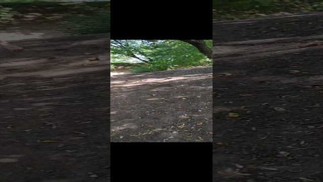 VID_20240818_131139.mp4 смотреть онлайн