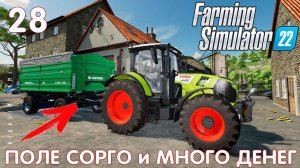 Farming Simulator 22: ПОЛЕ СОРГО и МНОГО ДЕНЕГ #28 [прохождение 2022]