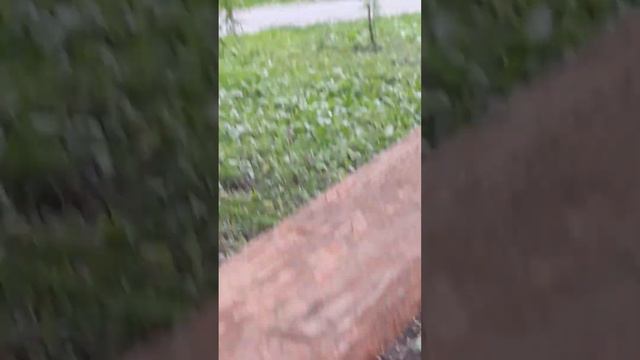 на меня наняли охотники хейтер их там целых te1 головой большой смотреть онлайн