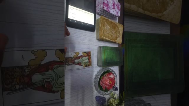 Tarot & Oracle by Bhawna is live смотреть онлайн