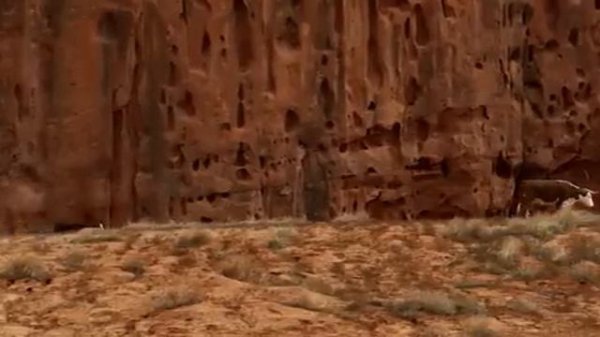 Воображаемая реальность