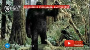 🔥💯 Шокирующая правда. Снежный человек 💣 Парни жили с самкой снежного человека 💣