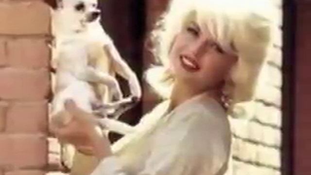 Jayne Mansfield Tribute