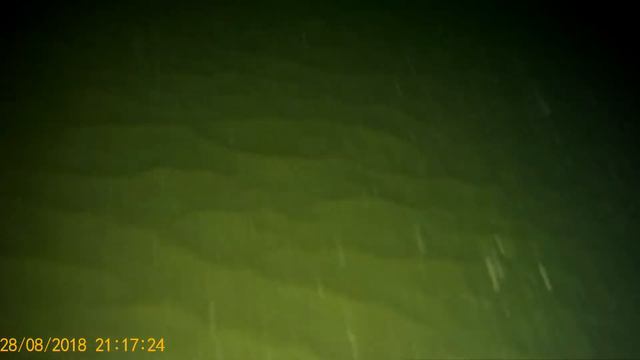 Подводные обитатели Нячанга смотреть онлайн