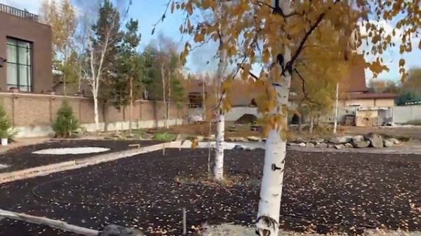 Создание сада без проекта. Подготовительный этап