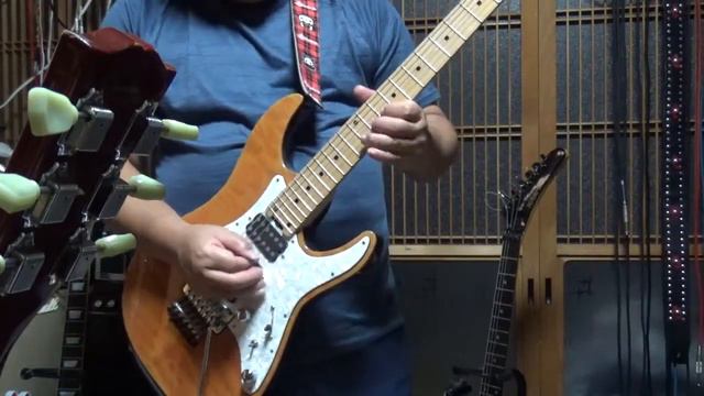 SCHECTER　SD2-24-AL / Leqtique Shun Nokina DesignMaestroAntiqueRevised+OneControl Purple Plexifier смотреть онлайн