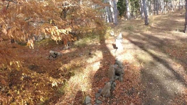 Место силы. Кромлех. A place of power. Cromlech. смотреть онлайн