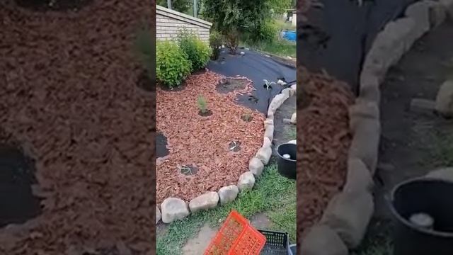Мульча поверх геотекстиля смотреть онлайн