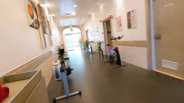 Millennium Plaza Downtown Hotel Dubai Review 👍👍👍