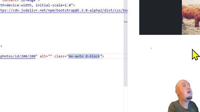 How to Center Images and Paragraphs Using Bootstrap смотреть онлайн