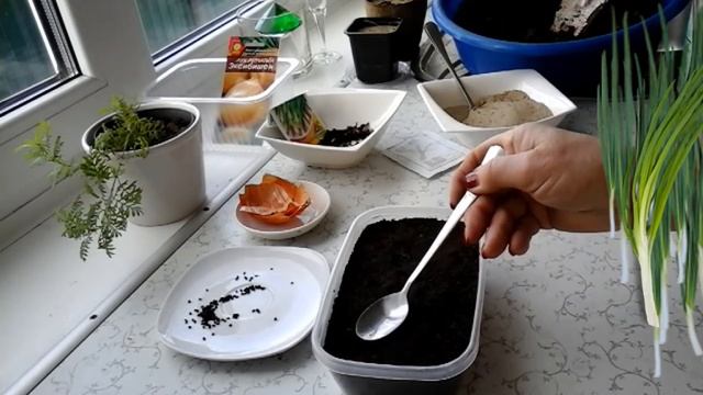 Сеем лук батун в феврале смотреть онлайн