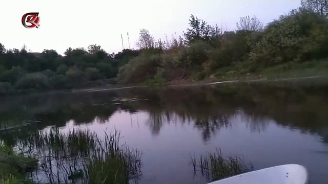 Животные в деревне: кони, коты | лодка на реке Дисна смотреть онлайн