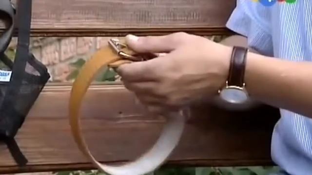 Как выбрать ошейник для собаки смотреть онлайн