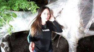 ВСЕ ДОМИКИ из ПЛЕНКИ на ДЕРЕВЕ от Элли Ди | Elli Di