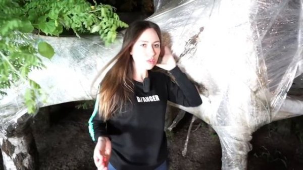 ВСЕ ДОМИКИ из ПЛЕНКИ на ДЕРЕВЕ от Элли Ди | Elli Di