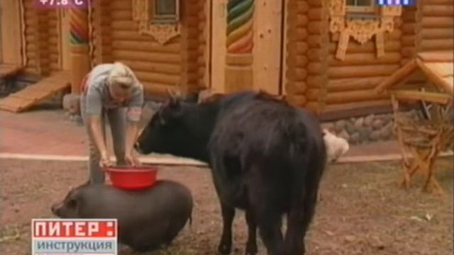 Питер инструкция по применению, сюжет "Ресницы" смотреть онлайн