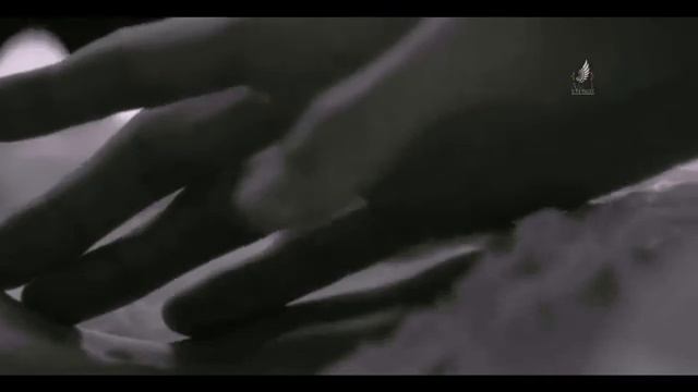 Против силы твоей.Мелодекламация на стихи Д.Белоконя читает В.Корженевский