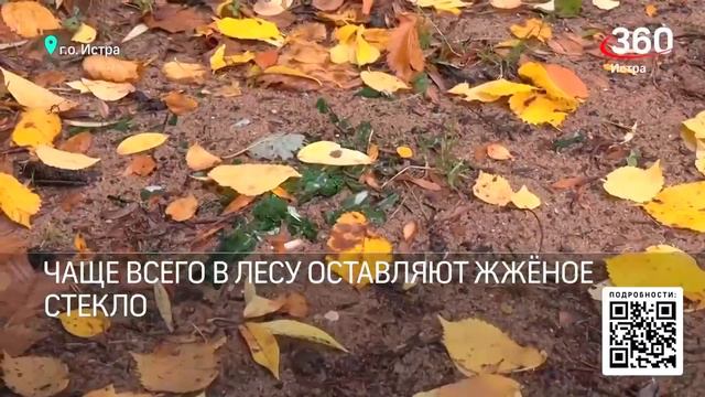 Союз культурных людей и рыбаков очистил все берега Истринского водохранилища 25 сентября 2022 года смотреть онлайн