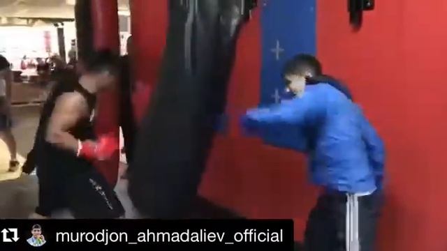 Тренировка сборной Узбекистана по боксу смотреть онлайн