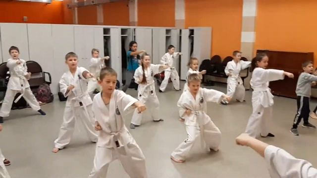 Базовая техника тхэквондо ОЦ2 смотреть онлайн