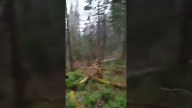 Коза на охоте смотреть онлайн