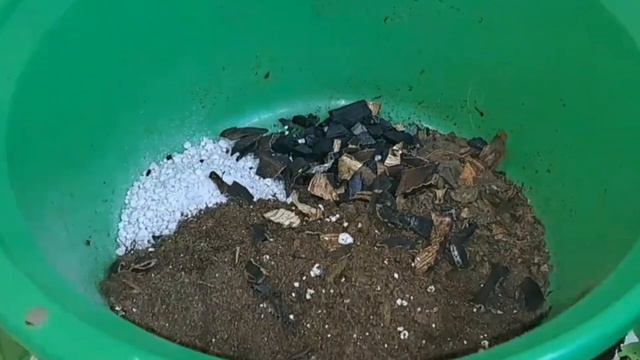 ЛАВР ГҮЛІНІҢ ҚҰПИЯСЫ. ЛАВР ГҮЛІН ОТЫРҒЫЗУ смотреть онлайн
