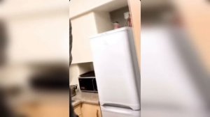 HFM COUB BEST CUBE Best Coub Приколы 2023(2)