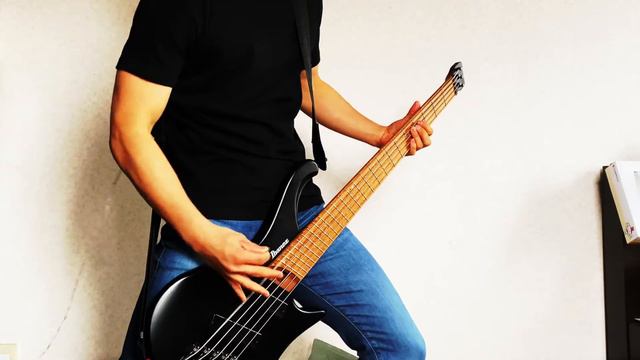 LANDMVRKS - Visage || Bass Cover смотреть онлайн