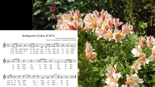 As the bride is to her chosen (Bridegroom) Organ смотреть онлайн