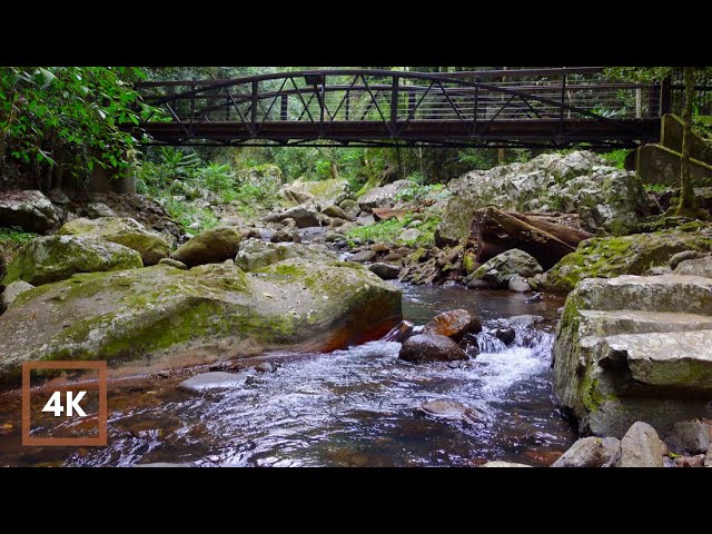 Спокойные звуки РЕКИ И ТЕМНЫЙ ЭКРАН через 1 час | Звуки воды для расслабления, сна, учебы
