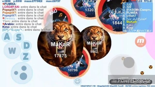 Skin Petri dish/name and pass + skin (1-9)