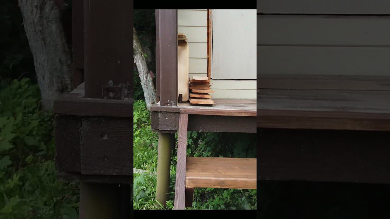 Сделал лесенку на крыльцо бани #банясвоимируками смотреть онлайн