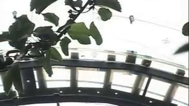 Не стучите колеса по крыше бани моей смотреть онлайн