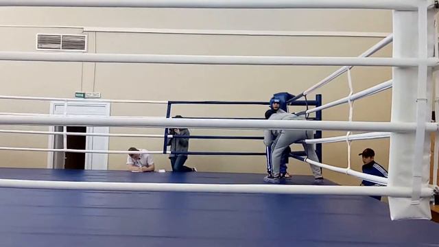 Бой гёзалова аваза белая ночь