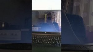 Обзор на DVD-диск Трое из Простоквашино ( 1978 )