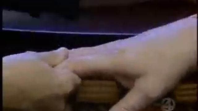 New Lymph Node Surgery Reduces Swelling смотреть онлайн