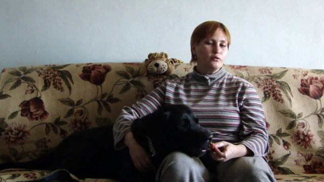 А вы хотите понимать своего лабрадора без переводчика? смотреть онлайн