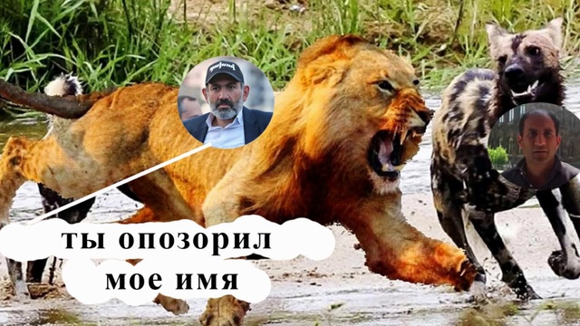 Сравнение Никола Пашиняна и Карена Петросяна