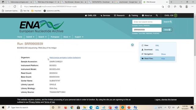 How to download fastq files from the NCBI (SRA) and ENA - Tutorials 03 смотреть онлайн