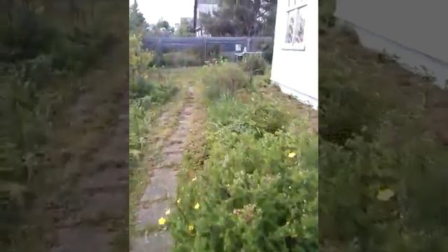 Дача в Струнино смотреть онлайн