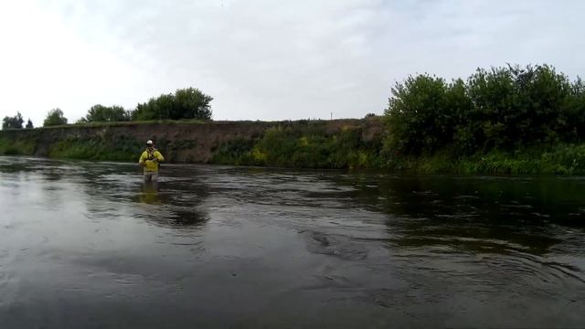 Речные скакуны спасают рыбалку. Рыбалка на ночного голавля. смотреть онлайн