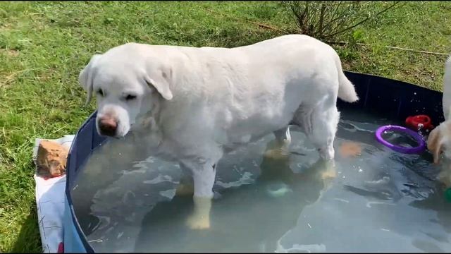 Аквапарк в Муми Доле) смотреть онлайн
