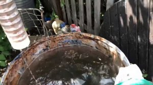 Чистка насоса Protect 3PPm 2/45-15
