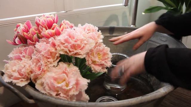 The Flower House At Alfresco Emporium смотреть онлайн