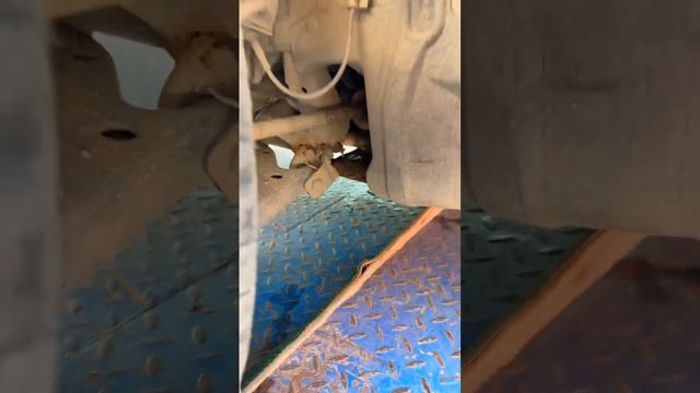 Загнил заживо Ниссан Альмера… смотреть онлайн