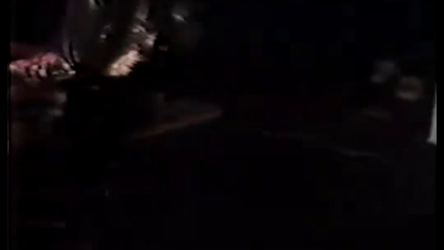 The Cramps -(live 1981)