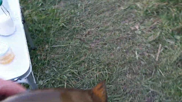 Рыбалка на Казари.Мой первый линь на 1.5кг. смотреть онлайн