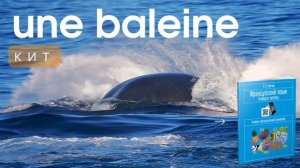 Название диких животных на французском языке. Ганчар Н.П. Французский язык. Учимся читать